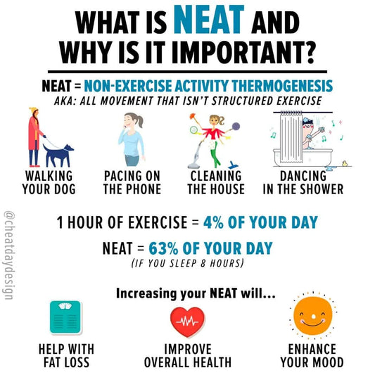 What is NEAT?